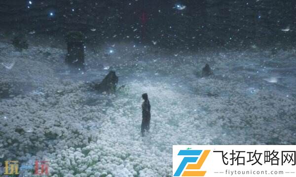 灯芯草用途介绍