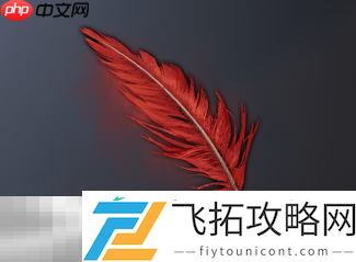 烁光红羽材料用途分享