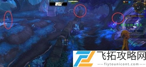 魔兽世界月光蓓蕾在哪？