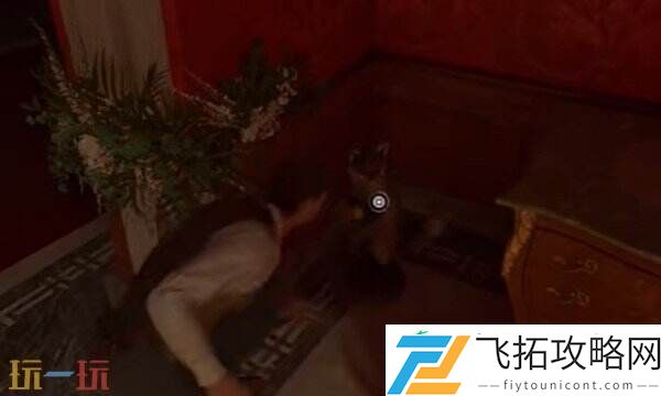 神秘狐狸10位置一览