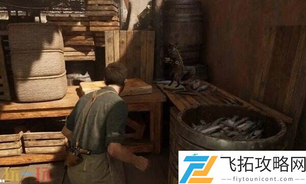 神秘狐狸主宰成就达成攻略