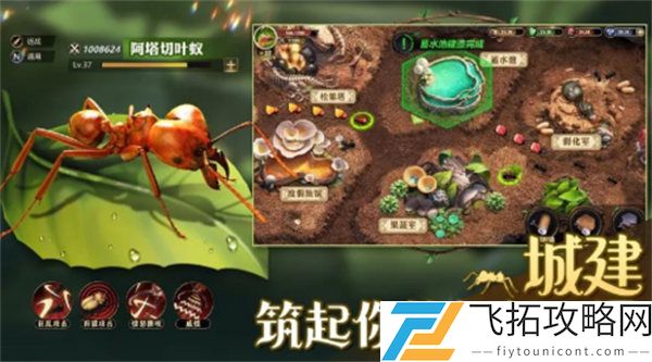 小小蚁国平民玩法攻略